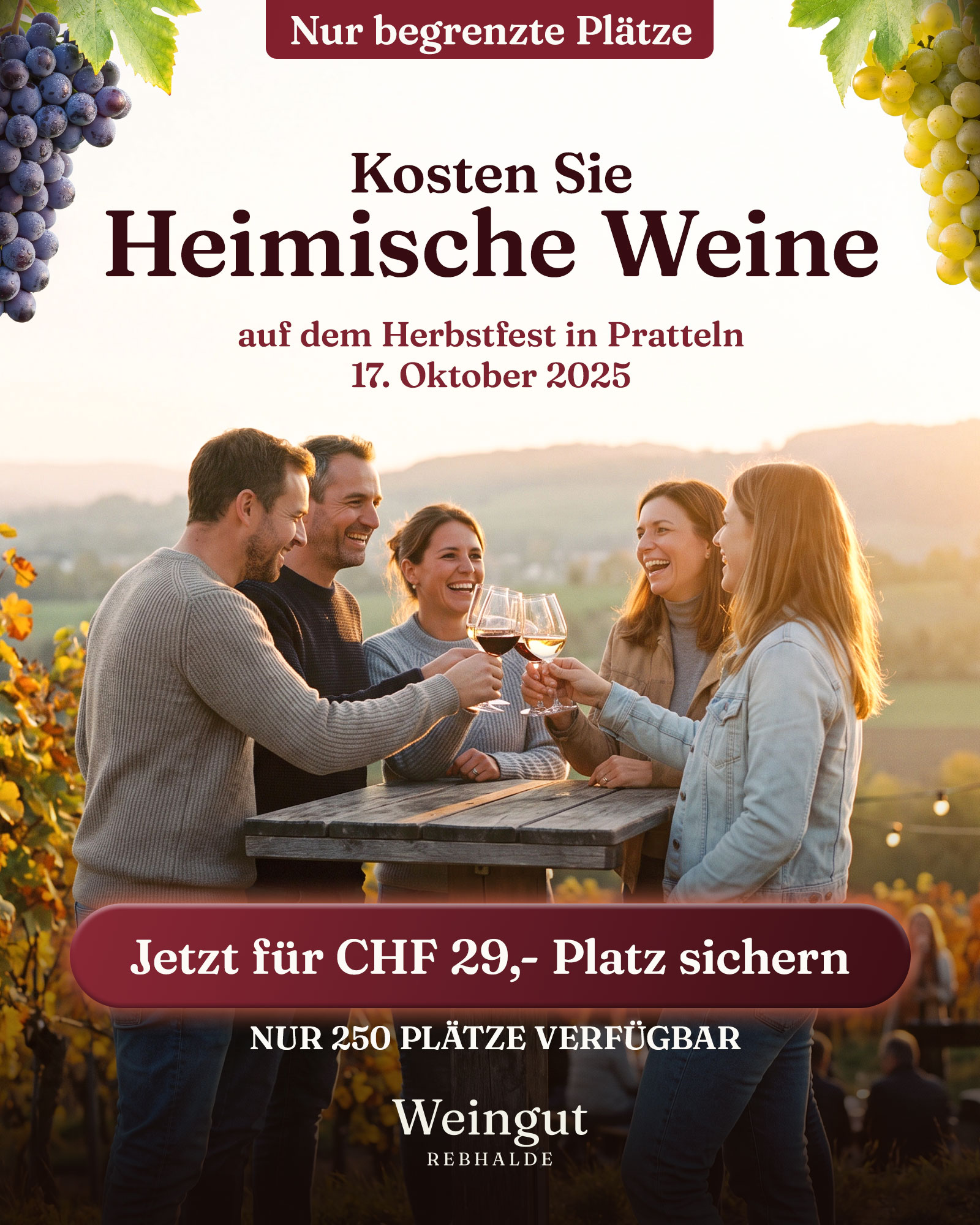 Static Ad Creative, Motiv 1 Variante 2 für die fiktive Marke Weingut Rebhalde